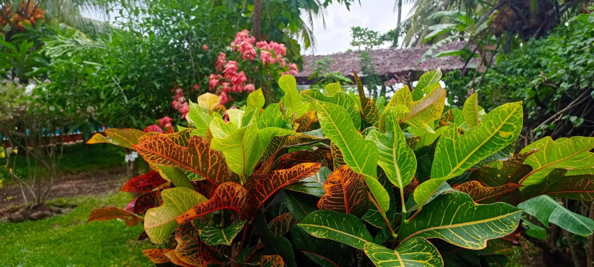 Piscine Bimoko Hotel นูซีเบ ภายนอก รูปภาพ
